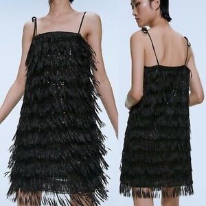 ZARA Sequin Fringe Dress